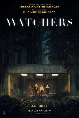 เดอะวอทเชอร์ส (The Watchers)